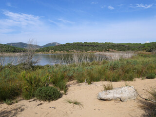 Lago di Baratz, Naturschutzgebiet auf Sardinien - 452206111