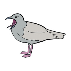 screaming seagull. bird. gull.  port.  vector eps 10