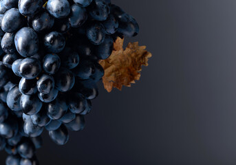 Dark blue grapes on a dark background.