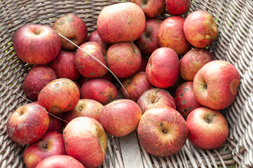 apples in a basket
