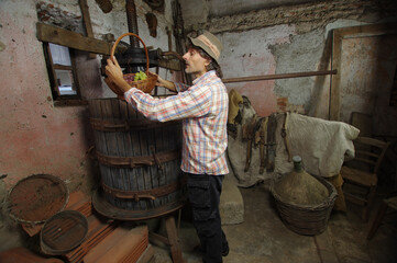 Mid-aged male winemaker using an old wooden press in the space for winemaking