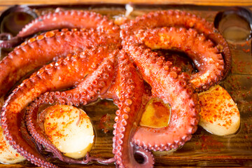 Pulpo Gallego -  whole galician octopus. Cooked octopus served with potatoes and paprika