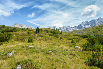 Fototapeta na wymiar Berglandschaft in den tiroler Alpen