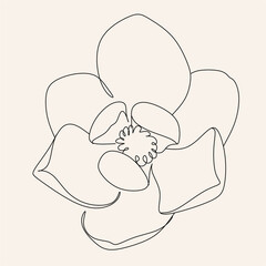 black and white line illustration of day-lily flowers on a white background
