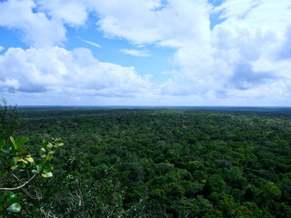 Fototapeta na wymiar View from on top of the La Danta pyramid in El Mirador, Guatemala