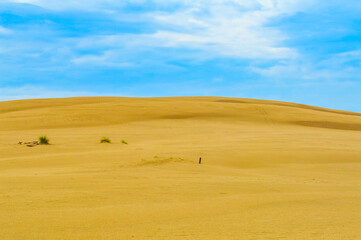 Fototapeta na wymiar Dunes of Leba in the desert of Slowinski National Park, Poland