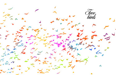 A flock of colorful birds. Vector illustration