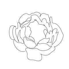 Peony Flowers one line art vector. Botanical peonies line drawing minimalist