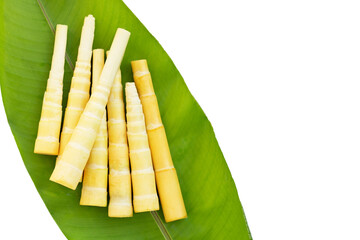Bamboo shoots on green leaf on white background.