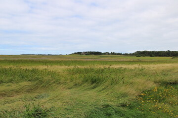 Landschaft in der Godel-Niederung auf F&ouml;hr | Landscape in the Godel lowland on the island of F&ouml;hr