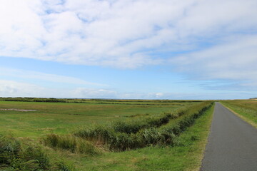 Landschaft in der Godel-Niederung auf Föhr | Landscape in the Godel lowland on the island of Föhr