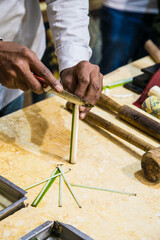 Papyrus artisan in Syracuse cutting the stem of a papyrus plant to obtain thin strips