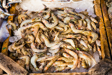 Fresh prawn on fish market in Hurghada , Egypt