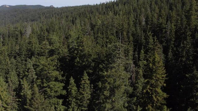 Drone Aerial View Odell Lake Oregon Wilderness.