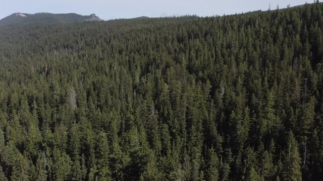 Drone Aerial View Odell Lake Oregon Wilderness.