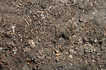 Brown Natural Soil With Rocks
