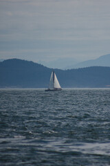 sailing in the sea