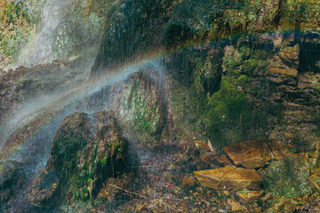 the river in the forest