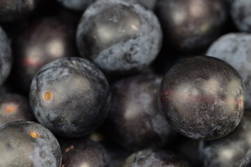 Blue mirabelle fruits macro, mirabelle fruits background.