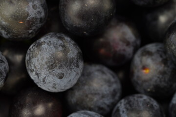 Blue mirabelle fruits macro, mirabelle fruits background.