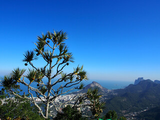Obraz na płótnie Canvas View of Rio de Janeiro, Brazil