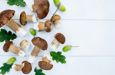 A noble, royal mushroom. Dark white or bronze boletus. Boletus mushrooms on a white wooden background. Beautiful texture of nature.