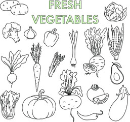 Set of line drawn vegetables. Vector.