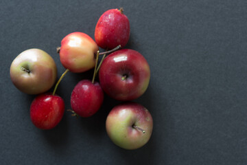 crab apples on gray