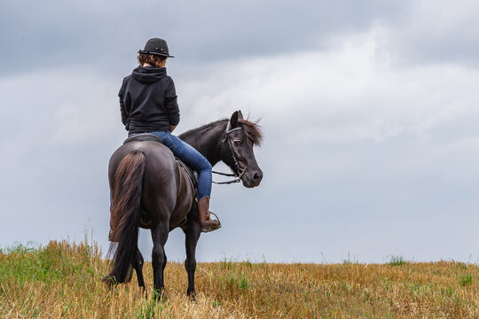 A young woman rides her horse on a stubble field; a rider on a field. Text space