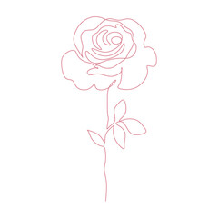 Set of sketches, hand drawn rose, line art. Vector illustration
