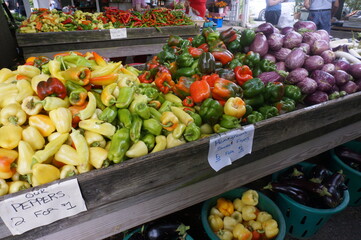 Yellow Green Peppers Purple Eggplant at Farm Stand in Summer