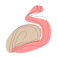 Abstract drawing line