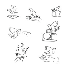 Pigeons of peace line