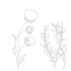 Abstract plant one line drawing. Hand drawn modern minimalistic design for creative logo, icon or emblem.