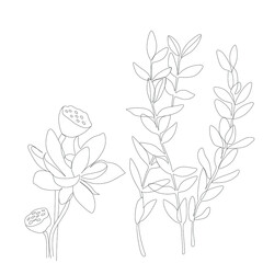 Abstract plant one line drawing. Hand drawn modern minimalistic design for creative logo, icon or emblem.