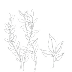 Naklejka premium Abstract plant one line drawing. Hand drawn modern minimalistic design for creative logo, icon or emblem.
