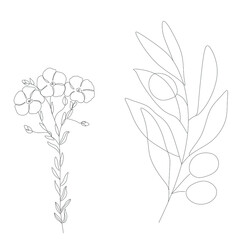 Abstract plant one line drawing. Hand drawn modern minimalistic design for creative logo, icon or emblem.