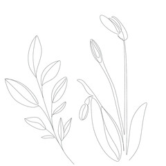 Abstract plant one line drawing. Hand drawn modern minimalistic design for creative logo, icon or emblem.