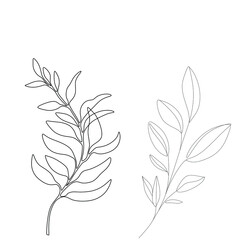 Abstract plant one line drawing. Hand drawn modern minimalistic design for creative logo, icon or emblem.