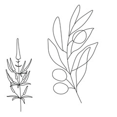 Abstract plant one line drawing. Hand drawn modern minimalistic design for creative logo, icon or emblem.