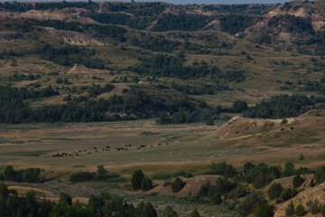 Fototapeta premium Theodore Roosevelt National Park badlands
