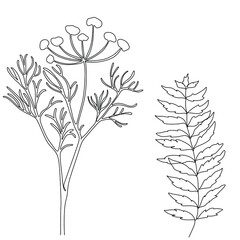 Flowers and plants line