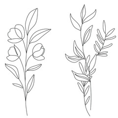 Flowers and plants line