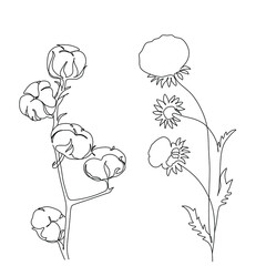 Flowers and plants line