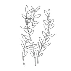 Flowers and plants line