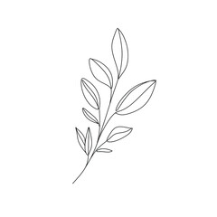 Flowers and plants line