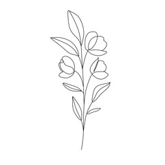 Flowers and plants line