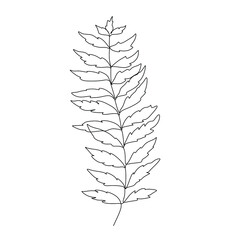 Flowers and plants line