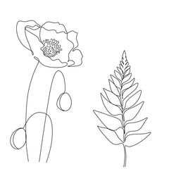 Flowers and plants line