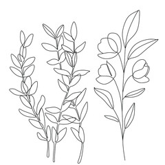 Flowers and plants line